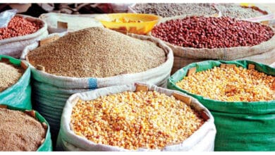 Healthy Diet: Ekiti, Ogun, Osun record highest cost with ₦1,640, ₦1,599, ₦1,557 6 food grains
