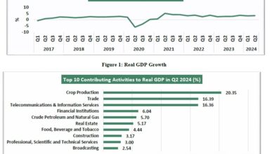 BREAKING: Nigeria's Real GDP grew by 3.19% YoY in Q2 2024 8 ok 1
