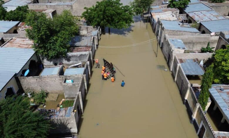 Borno flood