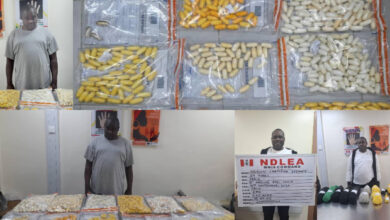 NDLEA nabs ex-convict with N4.6bn worth cocaine at MMIA 7 Ex Convict Nabbed With ₦4.6bn Worth Cocaine At Lagos Airport