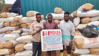 NDLEA nabs 2 wanted kingpins, 2 ex- convicts for drug trafficking 10 IMG 20240929 WA0136
