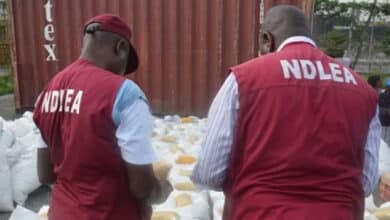 NDLEA seizes consignments of cocaine, pharmaceutical opioids concealed in female sanitary pads 1 NDLEA File