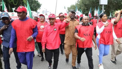 NLC demands total overhaul of power sector over repeated grid collapse 10 NLC Protest a
