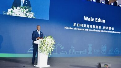 China, Nigeria sign $3.3bn deal to develop brass industrial park 10 Wale Edun
