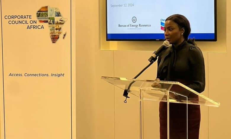 Nigeria seeks to close energy gap for 100m people 1 WhatsApp Image 2024 09 17 at 10.52.22 AM