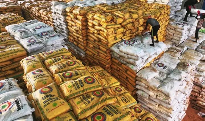 Kwara distributes 42,000 bags of fertilizer to farmers 1 WhatsApp Image 2024 09 18 at 6.29.53 PM