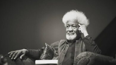 Wole Soyinka expresses discomfort over biopic 3 WhatsApp Image 2024 09 24 at 9.39.28 PM