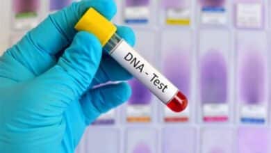 Smart DNA’s 2024 Report: The gaps, the unanswered questions- Ibidapo Balogun 10 dna test imagr 1200x797 1