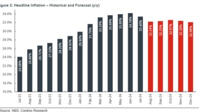 Higher PMS price to exacerbate inflationary pressures, says report 4 ifnlation