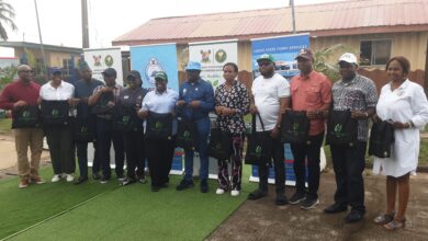 Climate Change: LASPARK, LAGFERRY charge residents on tree planting 17 20241003 111931