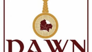 DAWN addresses NGF concerns over Tinubu's proposed tax reforms 10 Development Agenda for Western Nigeria 1