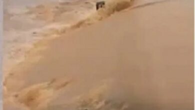Flood destroys properties, displaces many in Ondo 13 Flood