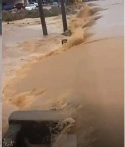 Flood destroys properties, displaces many in Ondo 1 Flood