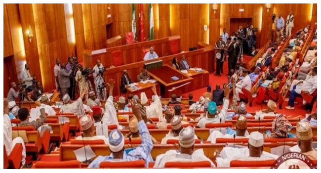 Nigerian Senate 1 2