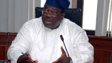 When Public/Civil Servants speak truth to power, by Prof. Tunji Olaopa 3 Olaopa