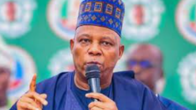 Tinubu administration committed to quality education - VP Shettima 19 Shettima