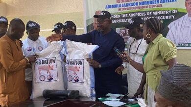 Osun gov’t encourages pig farming for improved food security, poverty reduction 16 WhatsApp Image 2024 10 03 at 7.48.50 PM