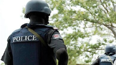 Mass movement of armed bandits poses threat to Kano’s peace, police warns 19 WhatsApp Image 2024 10 10 at 6.19.57 PM