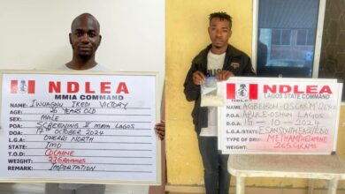 Businessmen, Canada-based nurse, arrested at Lagos airport for drug trafficking 6 WhatsApp Image 2024 10 20 at 2.53.10 PM