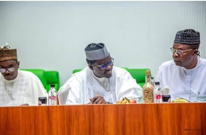Lawmakers support President Tinubu on Dikko's appointment as NSC Chairman 1 WhatsApp Image 2024 10 26 at 7.33.42 AM