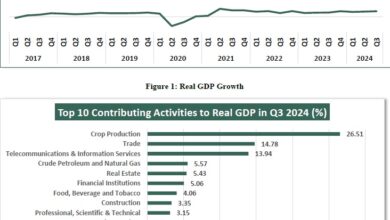 TMSG attributes 3.46% GDP growth to efficacy of Tinubu's economic reforms 2 GDP