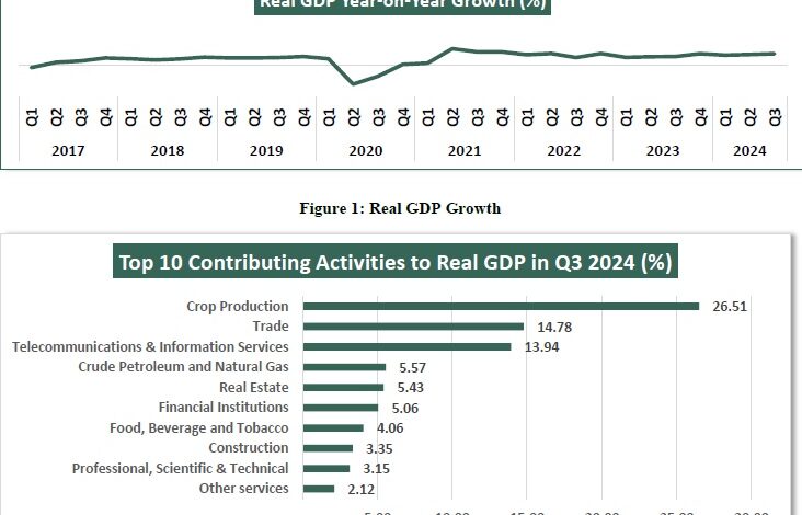 TMSG attributes 3.46% GDP growth to efficacy of Tinubu's economic reforms 1 GDP