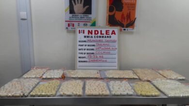 NDLEA intercepts Cocaine worth N4bn at Lagos Airport 8 IMG 20241103 WA0108