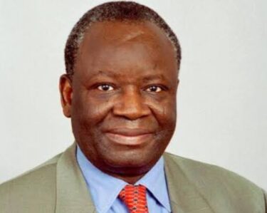 Ibrahim Agboola Gambari e1733006562855