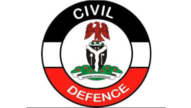 Crude Oil Theft: NSCDC to absorb more volunteers 20 NSCDC logo