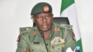 Nigeria to partner with Niger Republic to eliminate emerging threat of LUKARAWA 8 Olufemi Oluyede 1