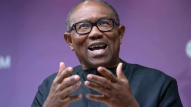 The myth of competence: How Peter Obi’s image collapses under a single form, by Oreoluwa Olaleye 6 Peter Obi 1