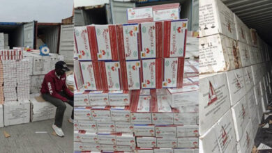 NDLEA dismantles two major cross border drug trafficking syndicates 8 Seized drugs NDLEA