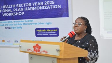 Lagos aligns health sector goals with five-day strategic workshop 7 WhatsApp Image 2024 11 01 at 1.05.29 PM 2