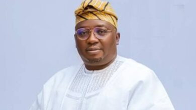 Adelabu, let there be light — by Folorunso Adisa 10 WhatsApp Image 2024 11 01 at 2.29.36 PM