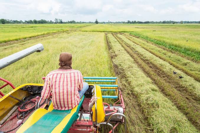 Nigeria to train 819 tractor operators, mechanics to boost food production 1 WhatsApp Image 2024 11 07 at 8.24.34 PM