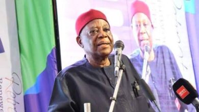 Tinubu celebrates journalist, former NDDC boss, Onyema Ugochukwu at 80 16 WhatsApp Image 2024 11 08 at 8.31.57 PM