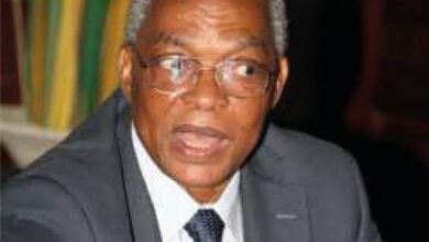 Akinjide Osuntokun: A patriot and academic in the eyes of the world, by Kayode Fayemi 5 WhatsApp Image 2024 11 14 at 7.43.48 AM