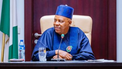 Shettima rallies support for Nigeria's 'Mai Martaba' in Oscar campaign 2 WhatsApp Image 2024 11 15 at 9.39.05 PM