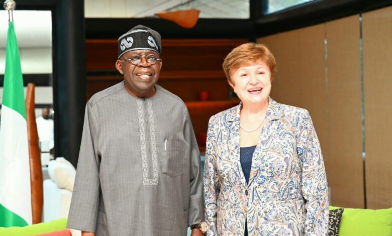 President Tinubu Pledges continued support for social welfare in talks with IMF chief 1 WhatsApp Image 2024 11 22 at 2.43.41 PM