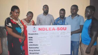 NDLEA dismantles drug cartels, seizes multibillion-naira worth of narcotics 1 WhatsApp Image 2024 11 24 at 11.57.37 AM