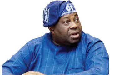 Dele Momodu: An aspirant gave each delegate $30,000 during PDP primary in 2022 1 WhatsApp Image 2024 11 25 at 1.38.15 PM