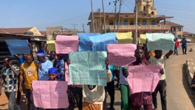 WhatsApp Image 2024 11 26 at 3.25.07 PM