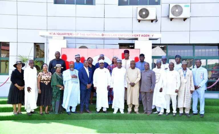WhatsApp Image 2024 11 27 at 3.53.45 PM 768x512 1