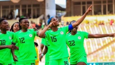 NFF President, officials to back Super Falcons against France in friendly 8 WhatsApp Image 2024 11 29 at 3.08.20 PM