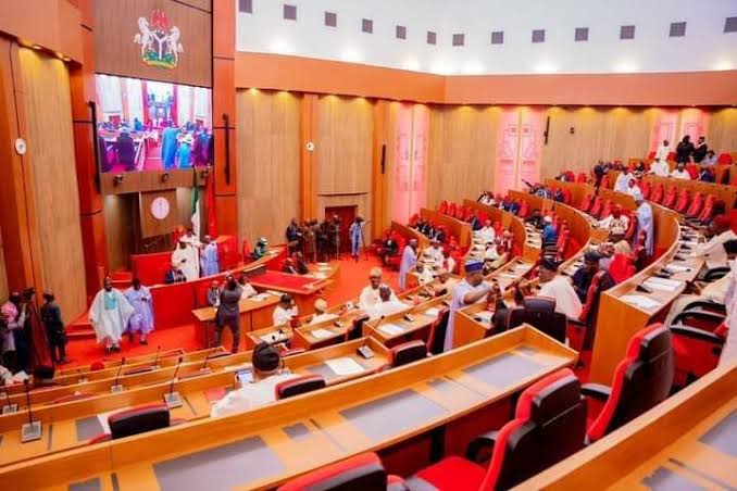 Attacks: Partner with local communities to detect future incursions early- Senate urges Military 1 images 3