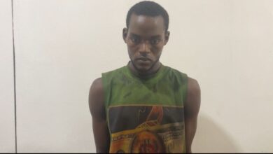 Herdsman arrested for stabbing farmer in Benin 1 20241209 092031