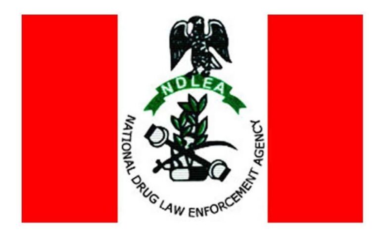 NDLEA nabs Iran-bound woman concealing cocaine in body, bag at Portharcourt airport 7 AIT IMAGES 3
