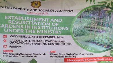 LASG resuscitates gardens in government-owned institutions 5 FB IMG 1733584476712