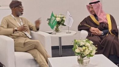 Nigeria, Saudi Arabia open talks on extracting, processing of iron ore to steel 8 IMG 20241209 200810