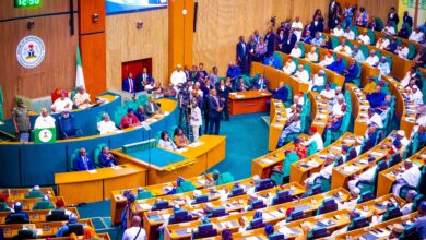 National Assembly extends 2024 budget implementation to June 2025 7 IMG 8480